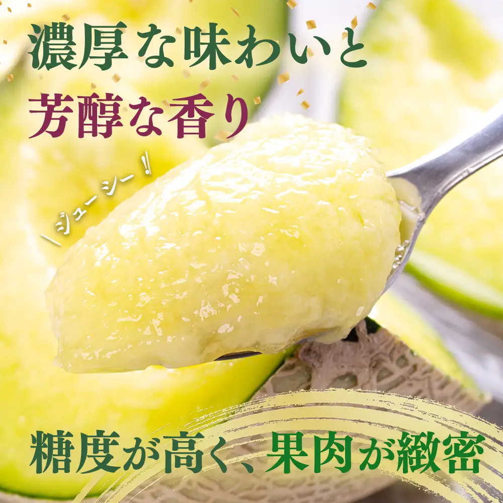 【2027年4月中旬発送開始】タカミメロン（極み）大玉2個入り 3.4kg～4kg メロン めろん 果肉 果実 大玉 果物 くだもの フルーツ 旬 旬のフルーツ 旬の果物  極上 熊本県 多良木町 多良木 001-0659