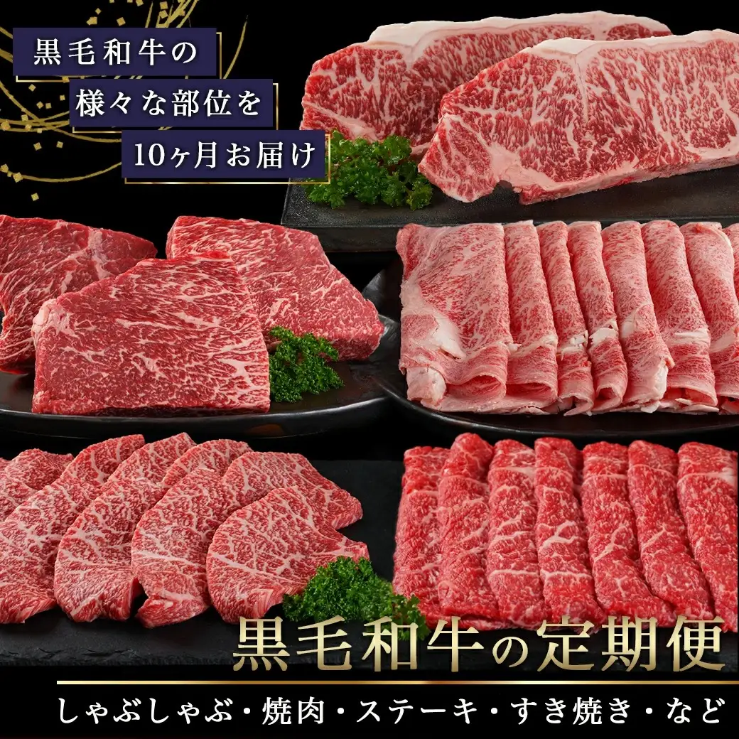 黒毛和牛食べ尽くし10ヶ月定期便〔TAC10-4201〕_(都城市) 黒毛和牛 しゃぶしゃぶ/焼肉/ステーキ/すき焼き/牛すじ 10ヶ月間毎月お届け 定期便 牛肉 急速冷凍 黒毛和牛食べ尽くし10ヶ月定期便