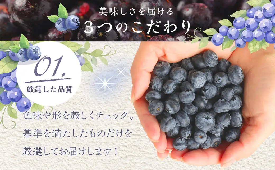 九重町産 冷凍 ブルーベリー 約1kg (1kg×1袋)  果物 フルーツ 冷凍フルーツ 冷凍果物 大分県 九重町産 