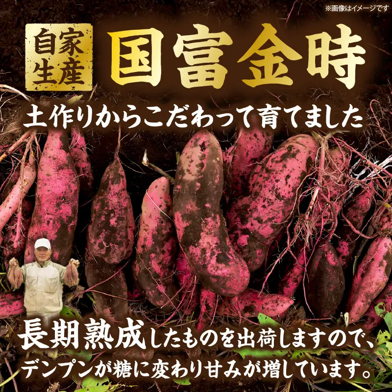 国富金時 蜜芋（400g×2）合計800g さつまいも 焼き芋 やきいも 干し芋 ほしいも スイーツ 甘い 真空パック 蜜芋 デザート セット ご褒美 おやつ お取り寄せ 贈り物 ギフト プレゼント