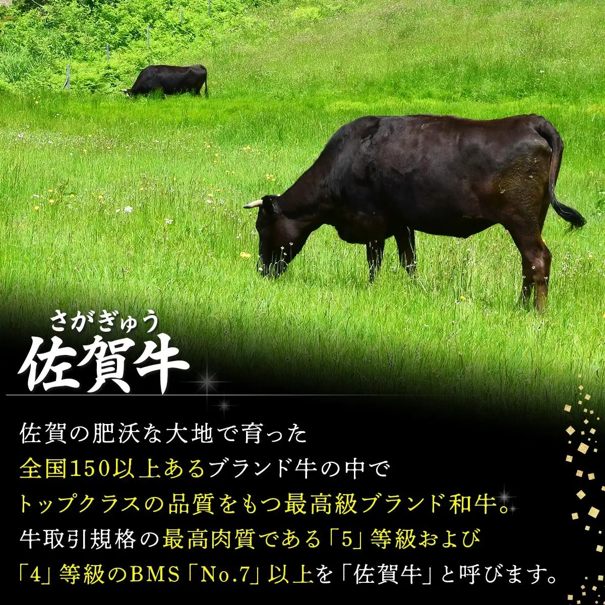 2000g 佐賀牛｢みすじブロック｣ H-177
