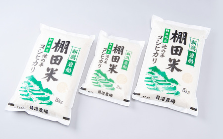 【令和7年産米】新潟県村上市岩船産 棚田米 コシヒカリ 12kg B4107 