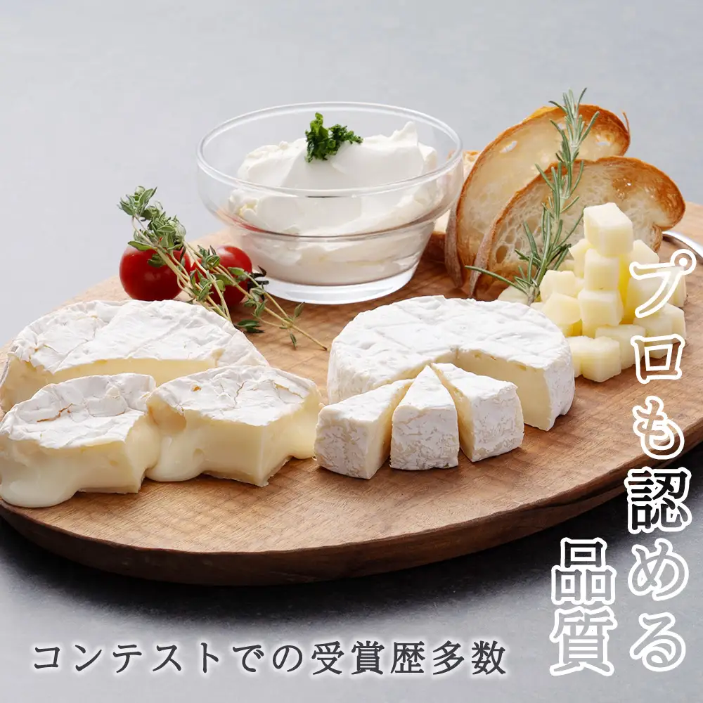 おすすめ 人気チーズ ４種セット 詰め合わせ＜合計12品＞