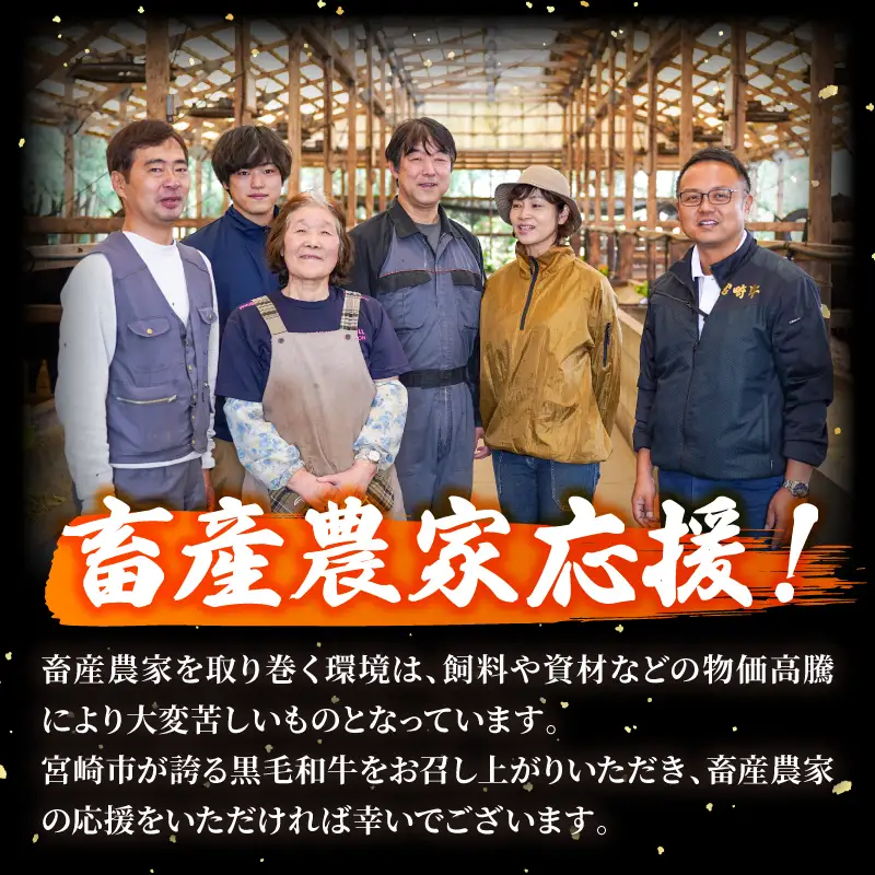牛肉 ステーキ 牛肉 [宮崎牛 ロース 500g]