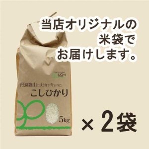 【令和7年産丹波篠山産】コシヒカリ 精米 10kg こしひかり DP01