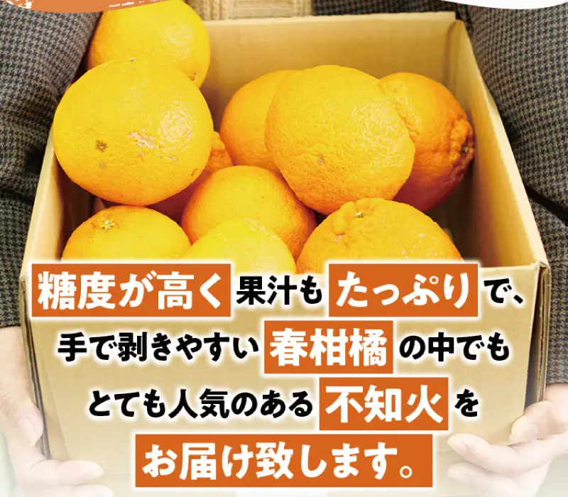 不知火 訳あり 約3.5kg ＋痛み保証 大小混合 不知火【njb670E】