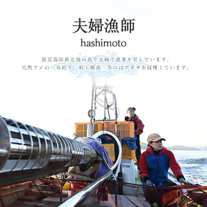 夫婦漁師の乾燥あおさ（10g×10袋）【夫婦漁師Hashimoto】fuufu-7037R8