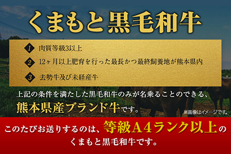 くまもと黒毛和牛 リブロースステーキ 500g ( 250g x 2枚 ) 牛肉 冷凍 《30日以内に出荷予定(土日祝除く)》 くまもと黒毛和牛 黒毛和牛 冷凍庫 個別 取分け 小分け 個包装 ステーキ肉 にも リブロースステーキ 美味しい牛肉 熊本牛肉 ジューシー牛肉 贅沢な牛肉 st-p