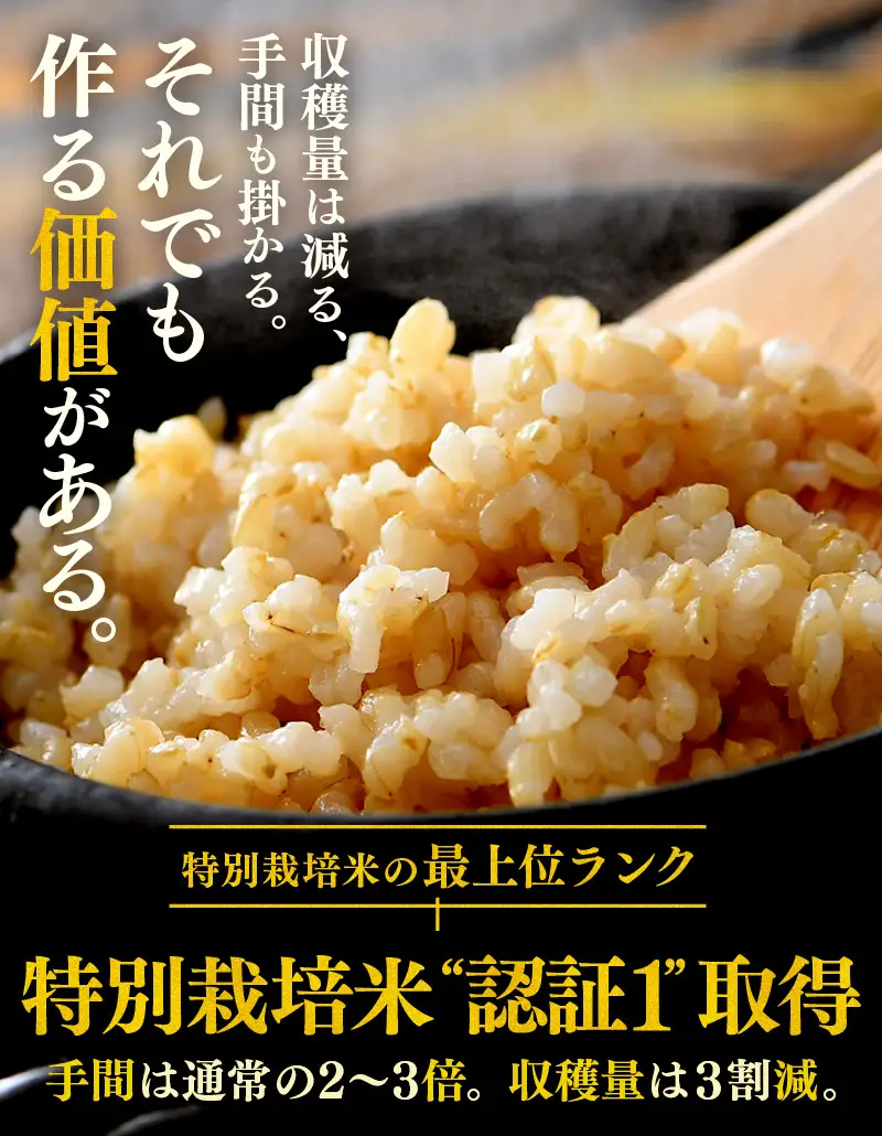 【先行予約】【令和8年産 新米】定期便《12ヶ月連続お届け》コシヒカリ 玄米 5kg （計60kg）特別栽培米 農薬不使用 化学肥料不使用 ／ 残留農薬ゼロ 高品質 鮮度抜群 福井県産 ブランド米 玄米 ※2026年10月上旬以降順次発送 [aw063-n004]