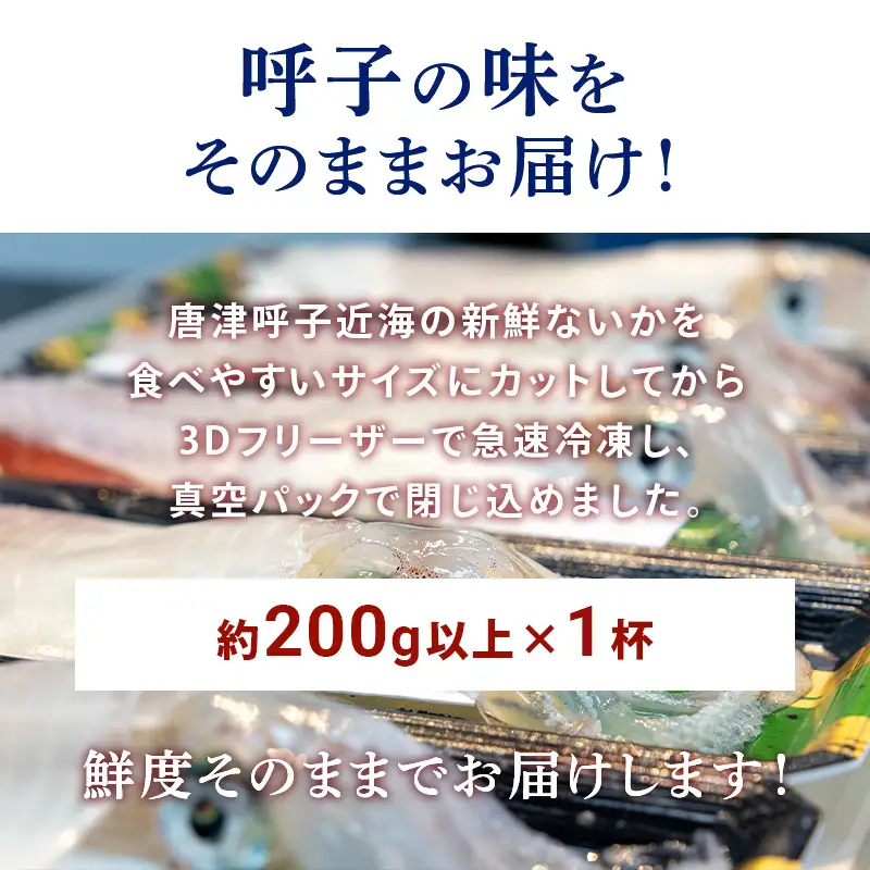 訳あり 唐津呼子産いか活造り 1杯(約200g以上) 急速冷凍 新鮮そのまま食卓へ！