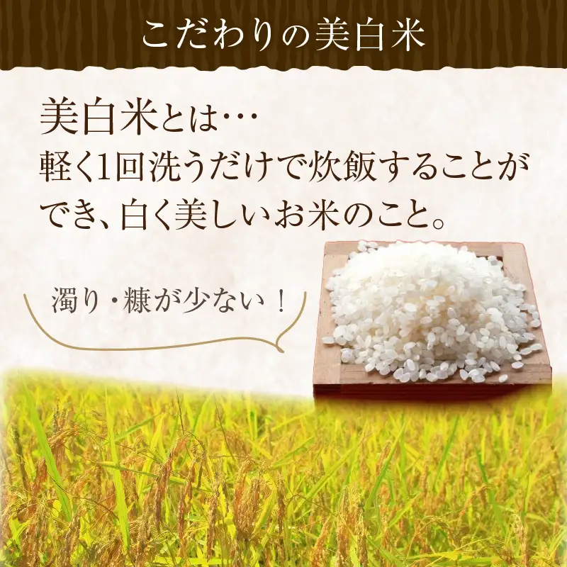 令和8年産 美白精米 丹後こしひかり 3kg(2合×10袋) 1等米