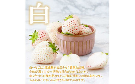 Berry農園 天使のいちご（白いちご）