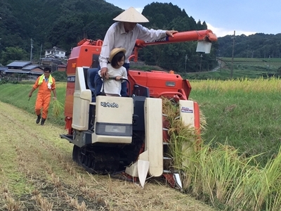 ★令和6年産★定期便 ３ヶ月 食味値 80点以上 にじのきらめき お米 精米 ３kg 月１回 ／民ちゃん農園 ふるさと納税 有機肥料 ハイグレード 極上 おいしい ミネラル 米 こめ お米 お取り寄せ 美味しい ブランド オススメ 送料無料 奈良県 宇陀市 大和高原