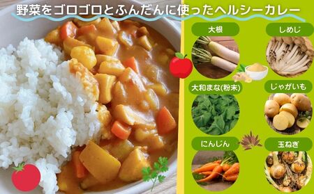 定期便 ３ヶ月 農家のたっぷり野菜カレー １０個 月１回 ／ふるさと納税 山口農園 有機野菜 オーガニック 伝統野菜 レトルト 詰め合わせ ギフト カレーセット スパイス 飯 キャンプお取り寄せ 奈良県 宇陀市 おかず ご当地 簡単 お歳暮 暑中見舞い 時短 保存食 