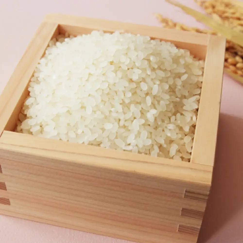 令和8年産 コシヒカリ 冬眠米 10kg（5kg×2袋） 茨城県産 白米 精米 ごはん お米 冬眠 とうみんまい ブランド米 検査米 単一原料米 国産 守谷市 送料無料