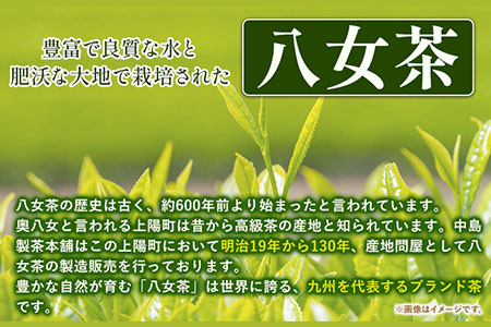 福岡銘茶八女茶 5種特選セット 株式会社マル五《30日以内に出荷予定(土日祝除く)》福岡県 鞍手郡 鞍手町 お茶 緑茶 茶 冷茶 煎茶