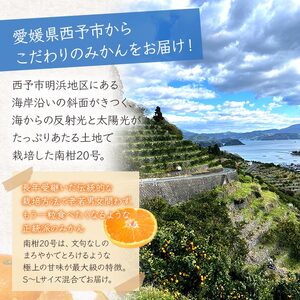 浜風みかん 南柑20号 ５kg OHI0002