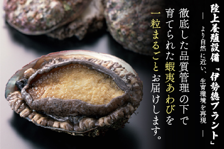 蝦夷あわび 2種食べ比べセット(バターソテー風・白ワイン煮味)[46-1192]