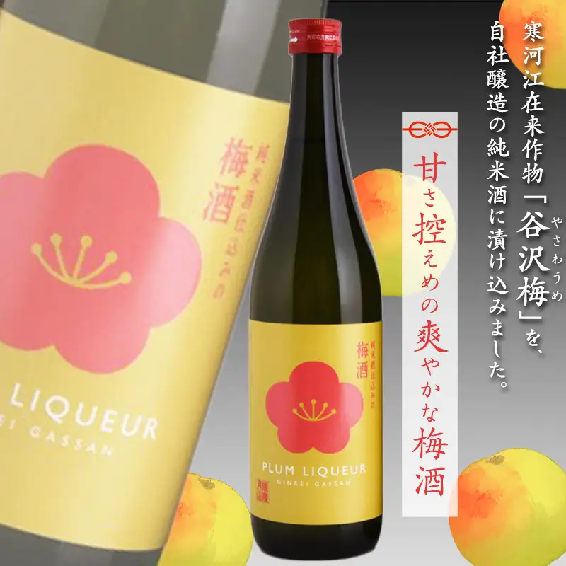銀嶺月山 純米酒仕込みの梅酒（720ml×2本セット）【貴重な山形県産ブランド梅「谷沢梅」を使用】　020-E-GS017