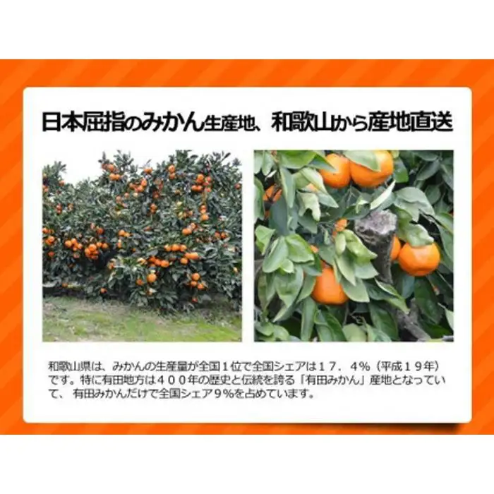 ［先行予約］訳ありみかん 約5kg（箱込み）和歌山県産