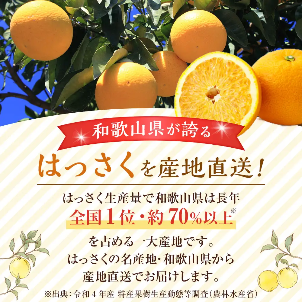 訳あり八朔 約 8kg（箱込み）和歌山県産