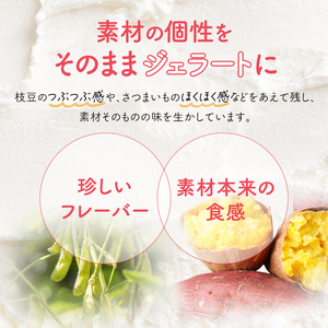 岩沼 みんなの家の 「 みんなのジェラート 」 12個 詰め合わせ セット アイス ジェラート