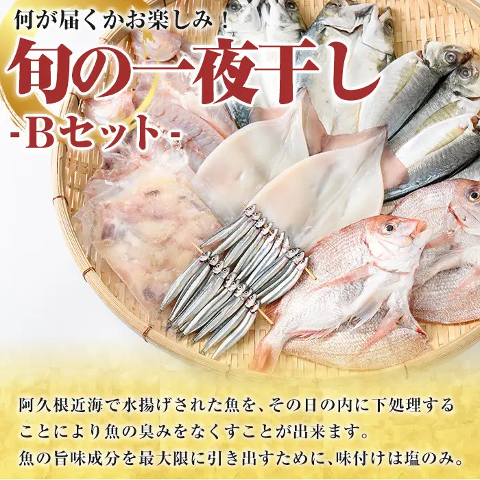 数量限定！阿久根市産の旬の一夜干しグルメ＜B＞セット(鯛・アジ・イカ・サバなど)国産 鮮魚 詰め合わせ お楽しみ 海の幸 魚介類 干物 海鮮【さるがく水産】akn028-18