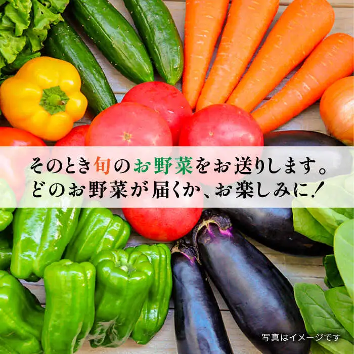 【3回定期便】地元農家さんが収穫した旬のお野菜 10種詰め合わせ / 野菜 旬 新鮮 採れたて 季節野菜 旬野菜 農家直送 野菜定期便 定期便 / 南島原市 / ミナサポ [SCW045]