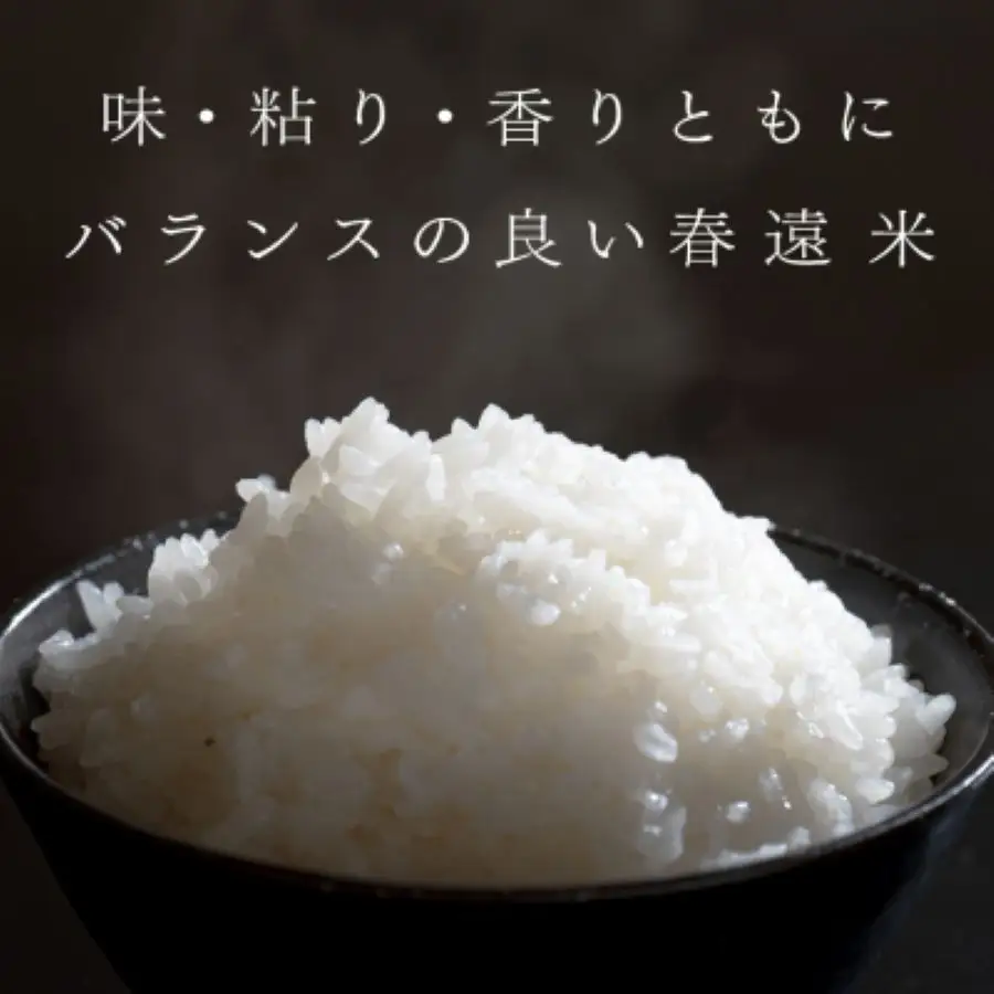 令和8年 新米 ヒノヒカリ 春遠米 5kg 高知県大月町産 精米 白米 10月中旬より順次お届け