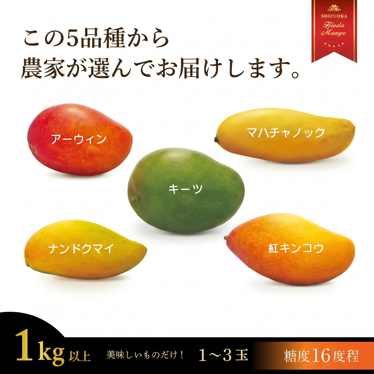 マンゴー 先行予約 2027年6月頃より順次発送 完熟 マンゴー 1kg