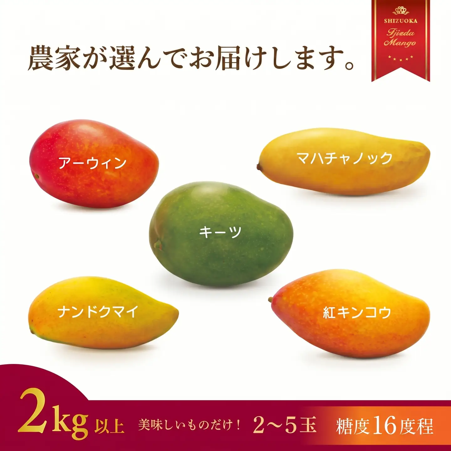 マンゴー 先行予約 2027年6月頃より順次発送 完熟マンゴー 2kg