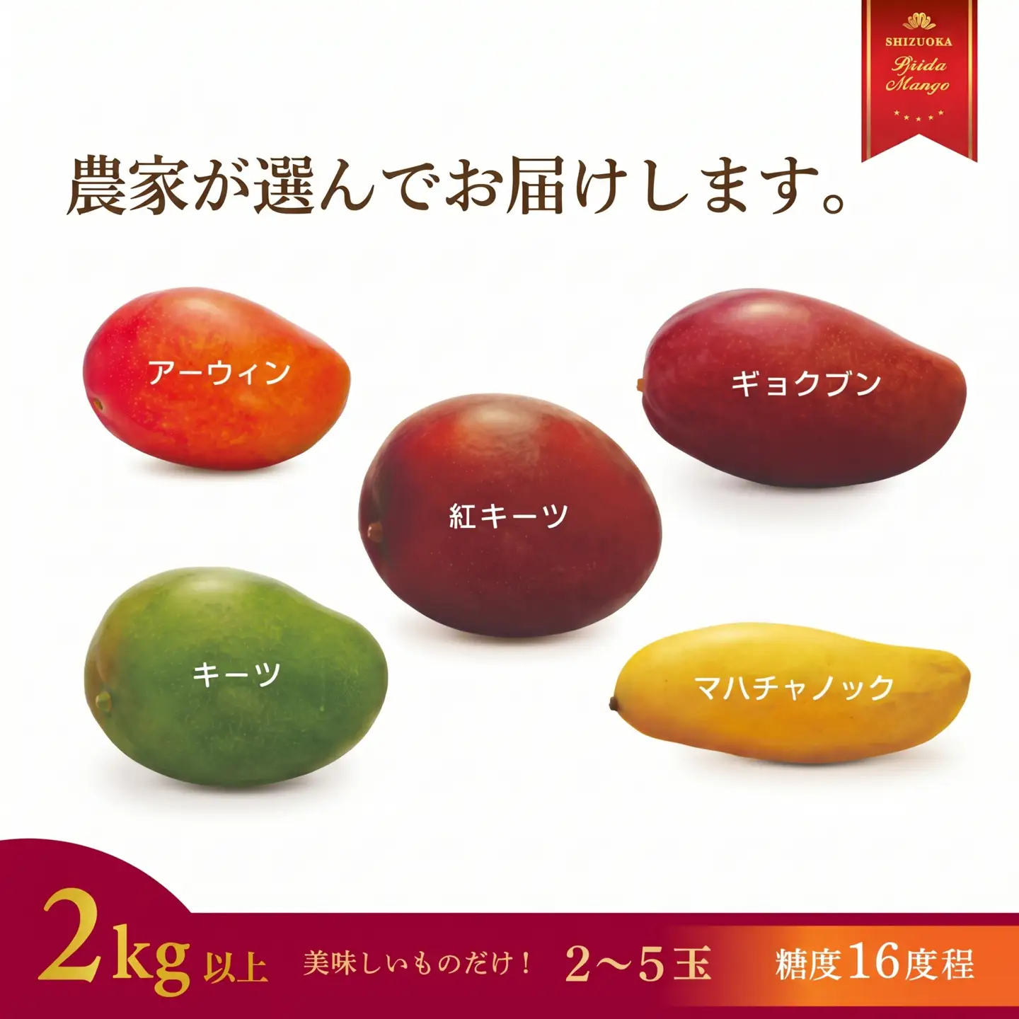 マンゴー 先行予約 【 2027年7月頃より順次発送 】 完熟マンゴー 2kg