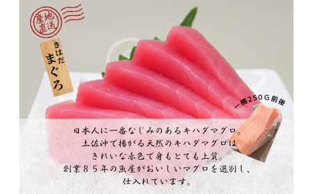 豪華なお刺身用短冊セット  ≪カネアリ水産≫