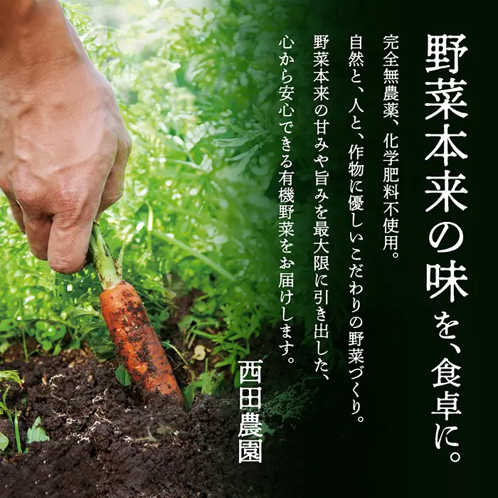 有機野菜 定期便 6ヶ月 有機野菜