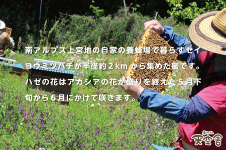 自家のミツバチが集める南アルプス上宮地産 ハゼ蜜 ガラスびん詰 450g １本 ALPAB100