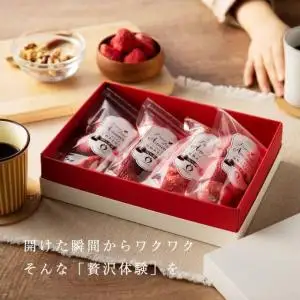 形も味も生のまま！武下さんちの完熟あまおうフリーズドライ 12g×4袋セット 白いVIPボックスに入れて！