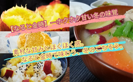 【予約受付中・2026年12月上旬頃より順次発送】【濱田農園】 なると金時 訳あり サイズ混合5kg  |  さつまいも サツマイモ ご飯 天ぷら なると金時 ホクホク