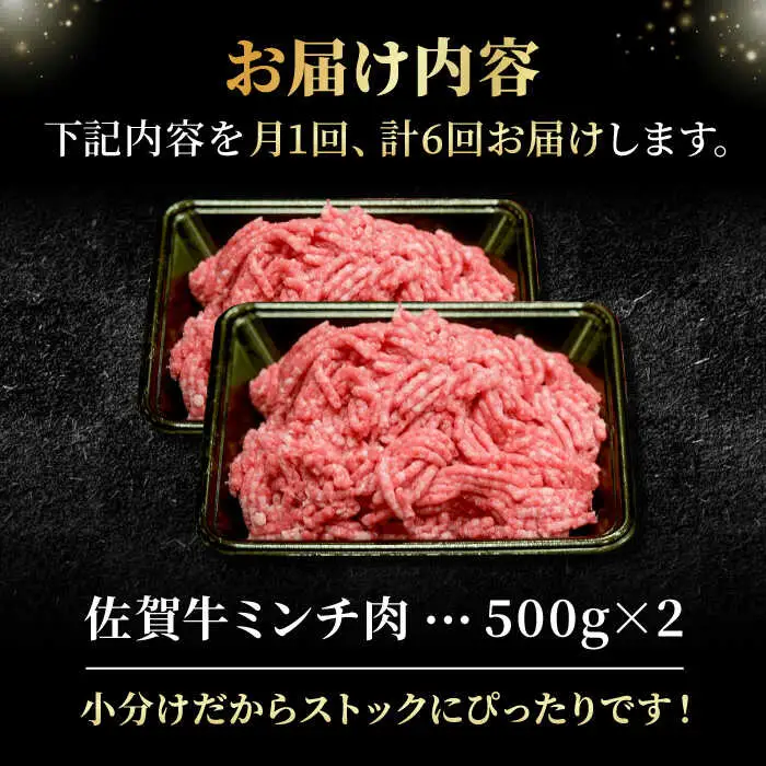 【全6回定期便】＜佐賀牛100%！＞佐賀牛 A5ランク ミンチ 1kg（500g×2） ハンバーグ はんばーぐ[FCX015]