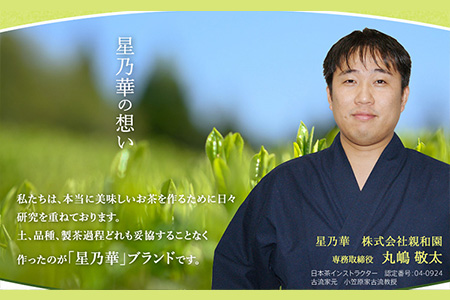 訳あり品 八女星野茶 深蒸し茶1100g 株式会社親和園《30日以内に出荷予定(土日祝除く)》福岡県 鞍手郡 鞍手町 お茶 緑茶 茶 八女星野茶 訳あり 送料無料