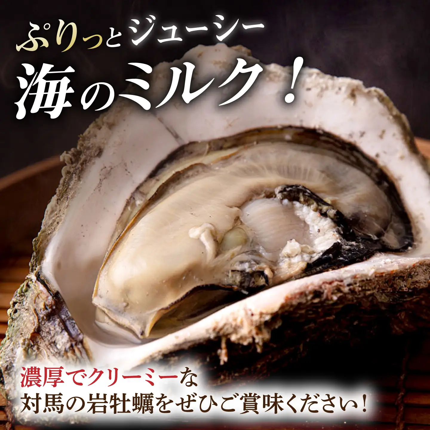 天然 岩ガキ 3kg  [WAD001] 岩がき 牡蠣 海鮮 魚介 牡蠣 かき カキ