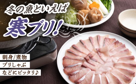 【24年1月9日以降発送】【1月限定】対馬 寒 ブリ 片身 800g 刺身 [WAD004]冷蔵 ぶり 寒ぶり フィレ 鰤 刺身 ブリしゃぶ