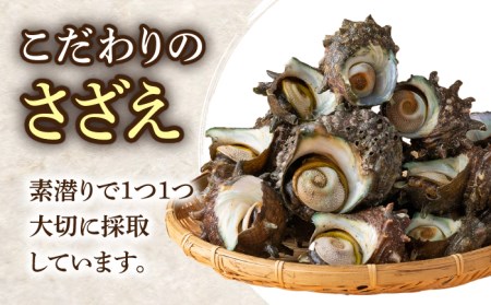 荒磯 さざえ 2.5 kg天然 サザエ 国産海鮮 [WAD006] 栄螺 BBQ 壺焼き 浜焼き