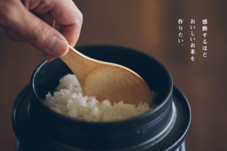 令和7年産 黄金の煌き 米 コシヒカリ 5kg / 米 5kg 5キロ 和仁農園