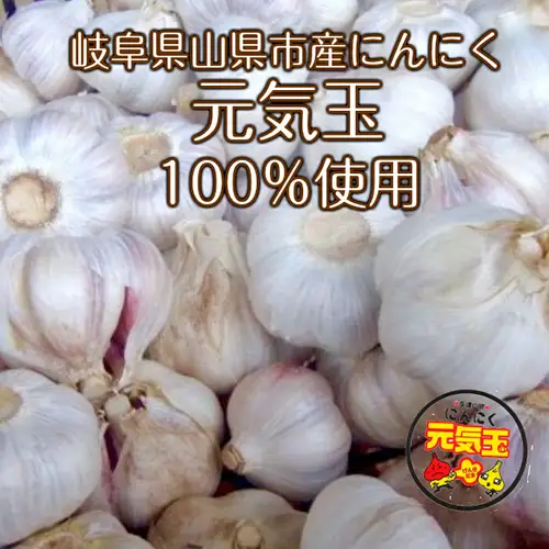 元気の源　黒にんにく　240g [No.672]