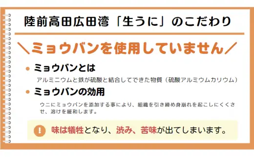 【先行予約】生うに 200g 無添加 塩水パック 生うに