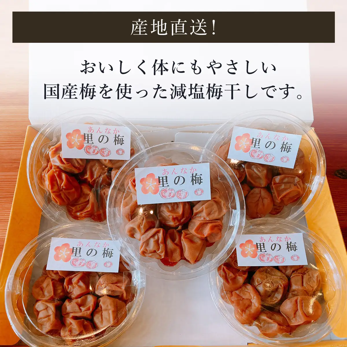 減塩梅干し【280ｇ×5パック】 ANAR010