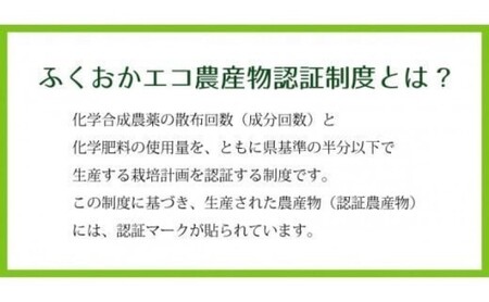 里芋 野菜 白芽大吉 ゆうき自然農場 里芋【5kg】