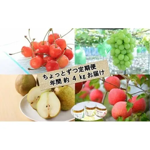 【令和9年産先行予約】 《定期便3回》 くだもの”ちょっとずつ”定期便 『南陽中央青果市場』 山形県 南陽市 [1013-R9]