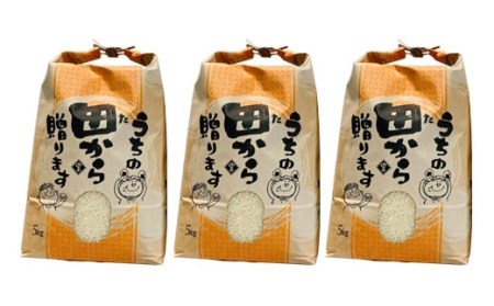 令和6年 魅惑のはえぬき 15kg（5kg×3） 米 お米 おこめ 山形県 新庄市 F3S-2067