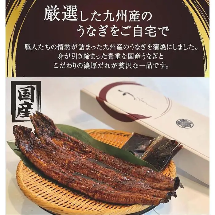 国産 うなぎ蒲焼 2尾 約350g